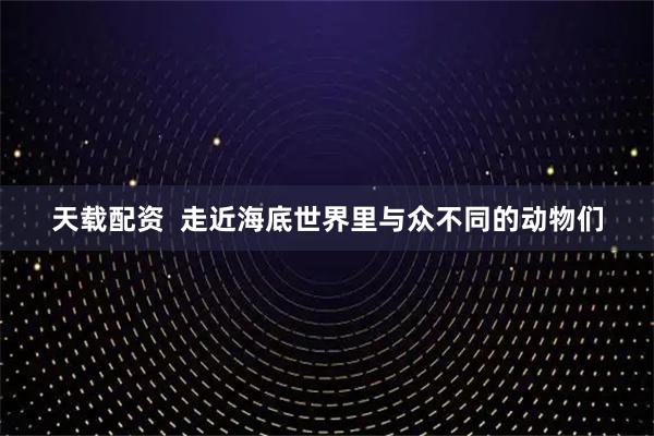 天载配资  走近海底世界里与众不同的动物们