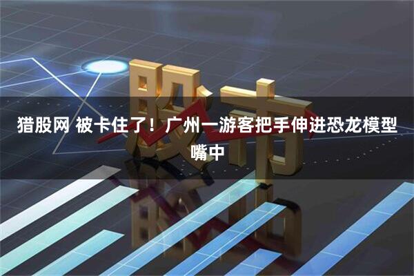 猎股网 被卡住了！广州一游客把手伸进恐龙模型嘴中