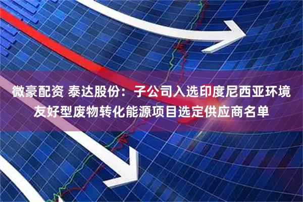 微豪配资 泰达股份：子公司入选印度尼西亚环境友好型废物转化能源项目选定供应商名单
