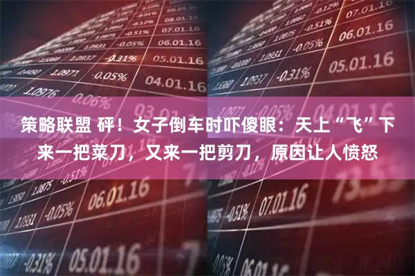 策略联盟 砰！女子倒车时吓傻眼：天上“飞”下来一把菜刀，又来一把剪刀，原因让人愤怒